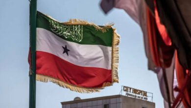 أرض-الصومال-مستعدة-لمنح-واشنطن-نفاذا-إلى-معادنها-وقواعد-عسكرية-فيها