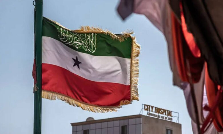 أرض-الصومال-مستعدة-لمنح-واشنطن-نفاذا-إلى-معادنها-وقواعد-عسكرية-فيها