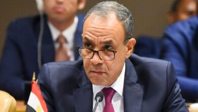 وزير-الخارجية-المصري:-كل-التضامن-مع-دول-الخليج-ضد-الاعتداءات-الإيرانية